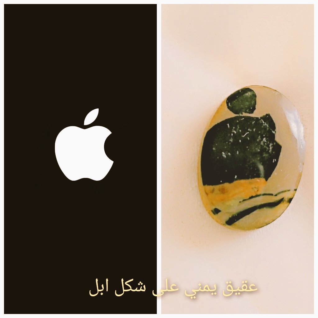 Ahjaarkaree's tweet photo. @Trainer_wadha @QatarUniversity https://t.co/N2HWJsxdzY