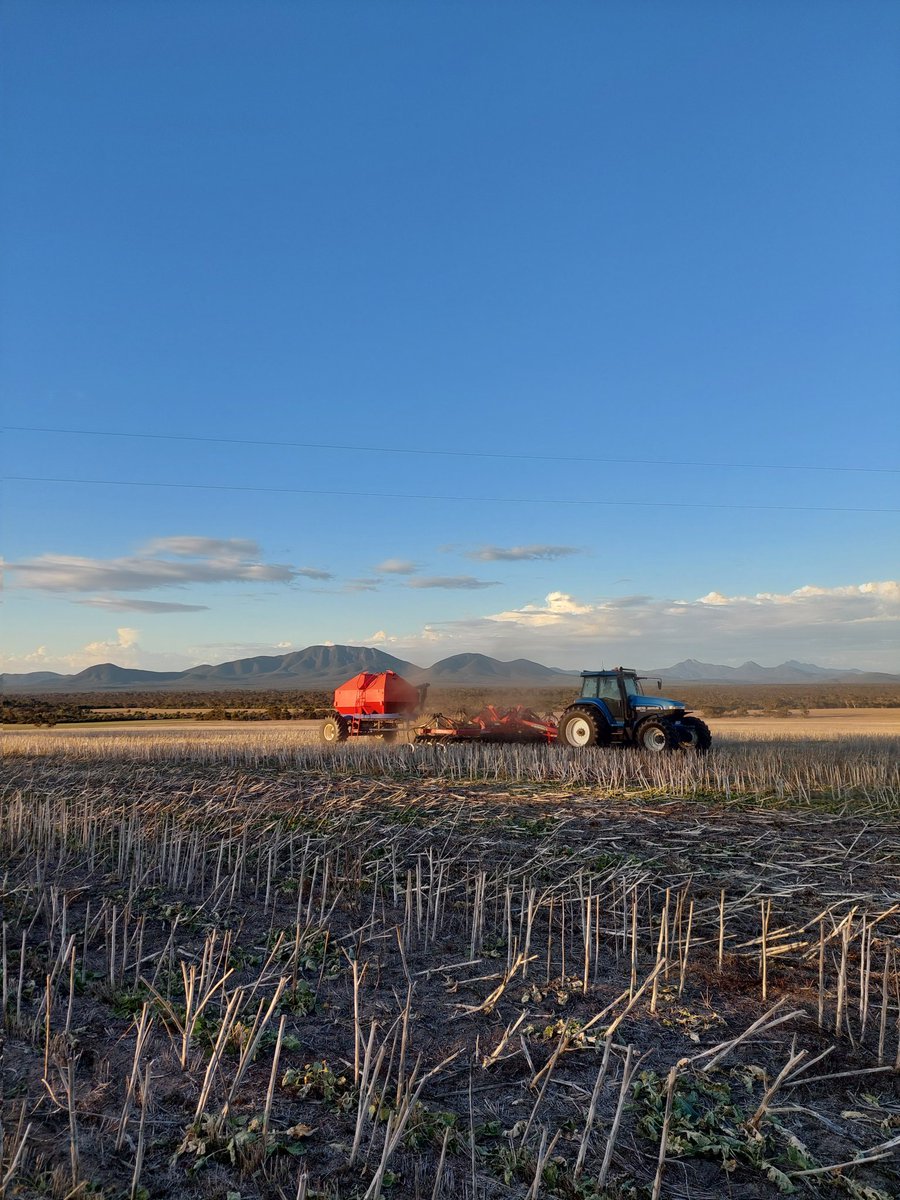 oldfield_ben's tweet photo. #seeding23 rolls on @Doctor_650 @ryan_milgate @Albeveridge1 https://t.co/M9Iac4OW1M