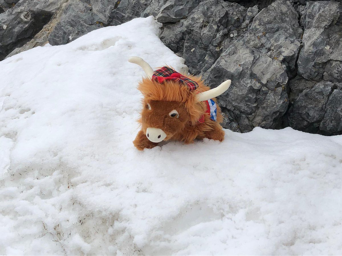 HCA East of Scotland tweet media