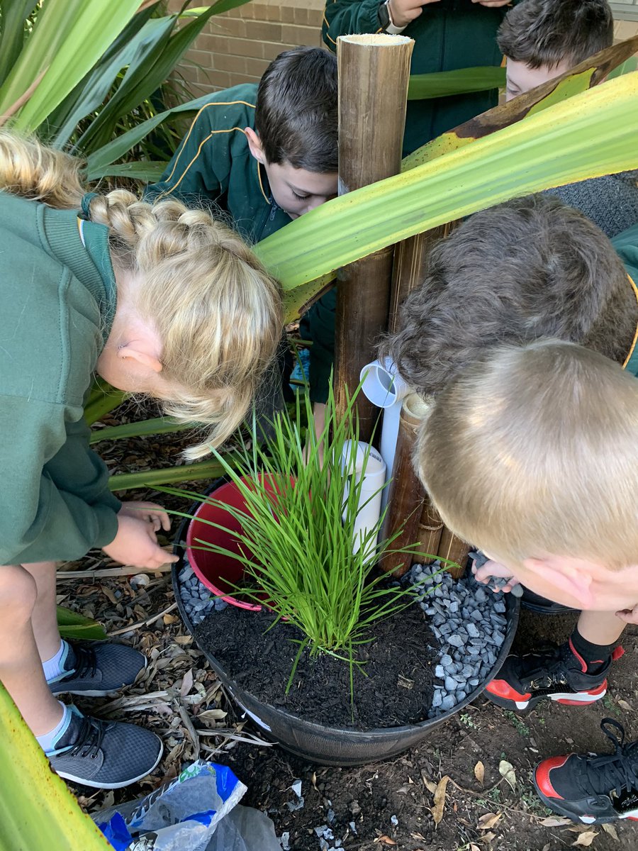 Peter Dawe tweet media