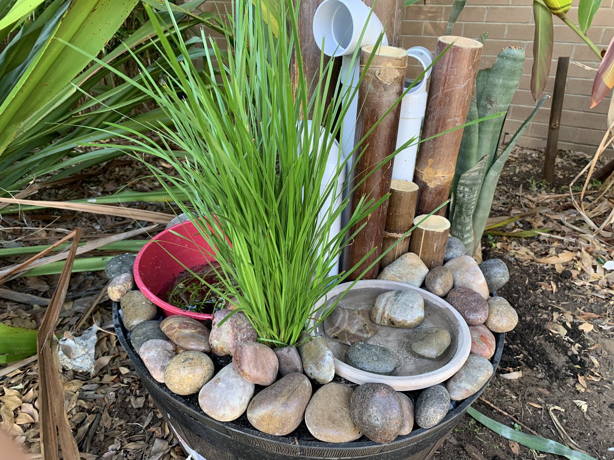 Peter Dawe tweet media