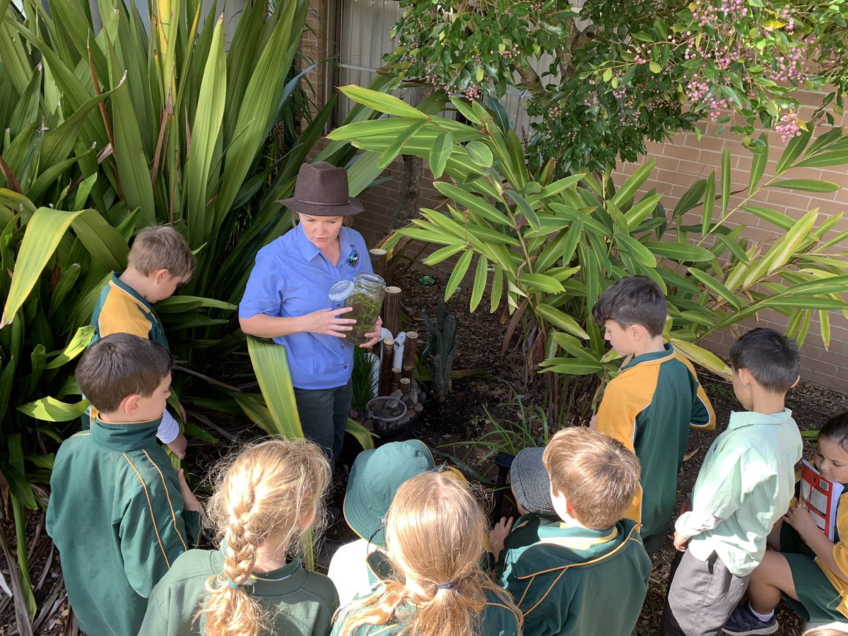 Peter Dawe tweet media