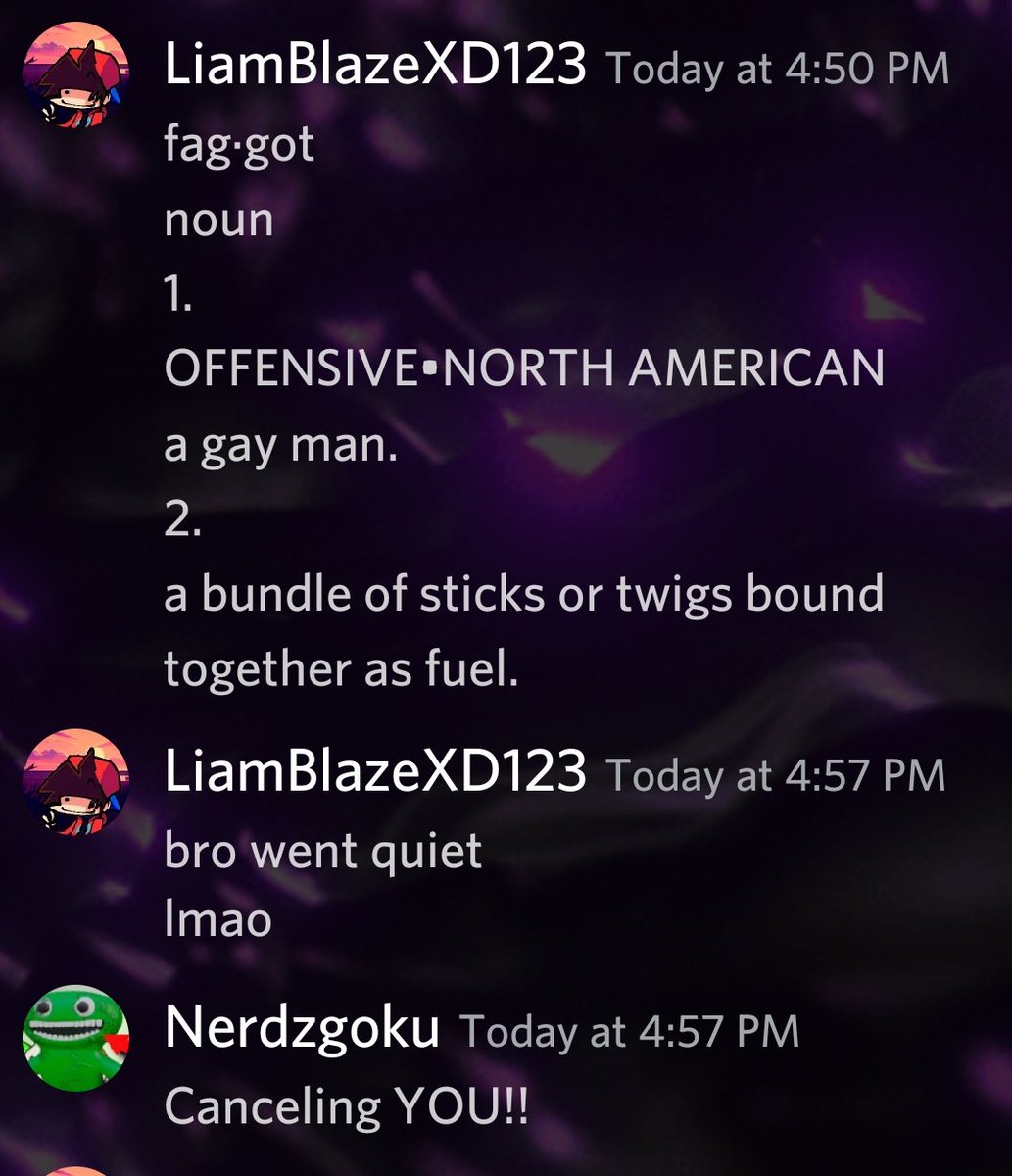 Guys team up and Report @LiamBlazeHA123! He said the f slur and hes straight!