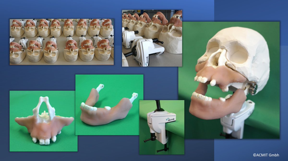AcmitG's tweet photo. DentoSkull™, the implantology training model for augmentative surgery
https://t.co/GPizBujVkb

#surgery #training #education #anatomicalmodels #medicaldevice #researchanddevelopment https://t.co/3eSMt8Cqss