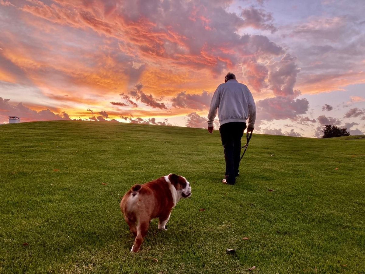 Sunshine Tour tweet media