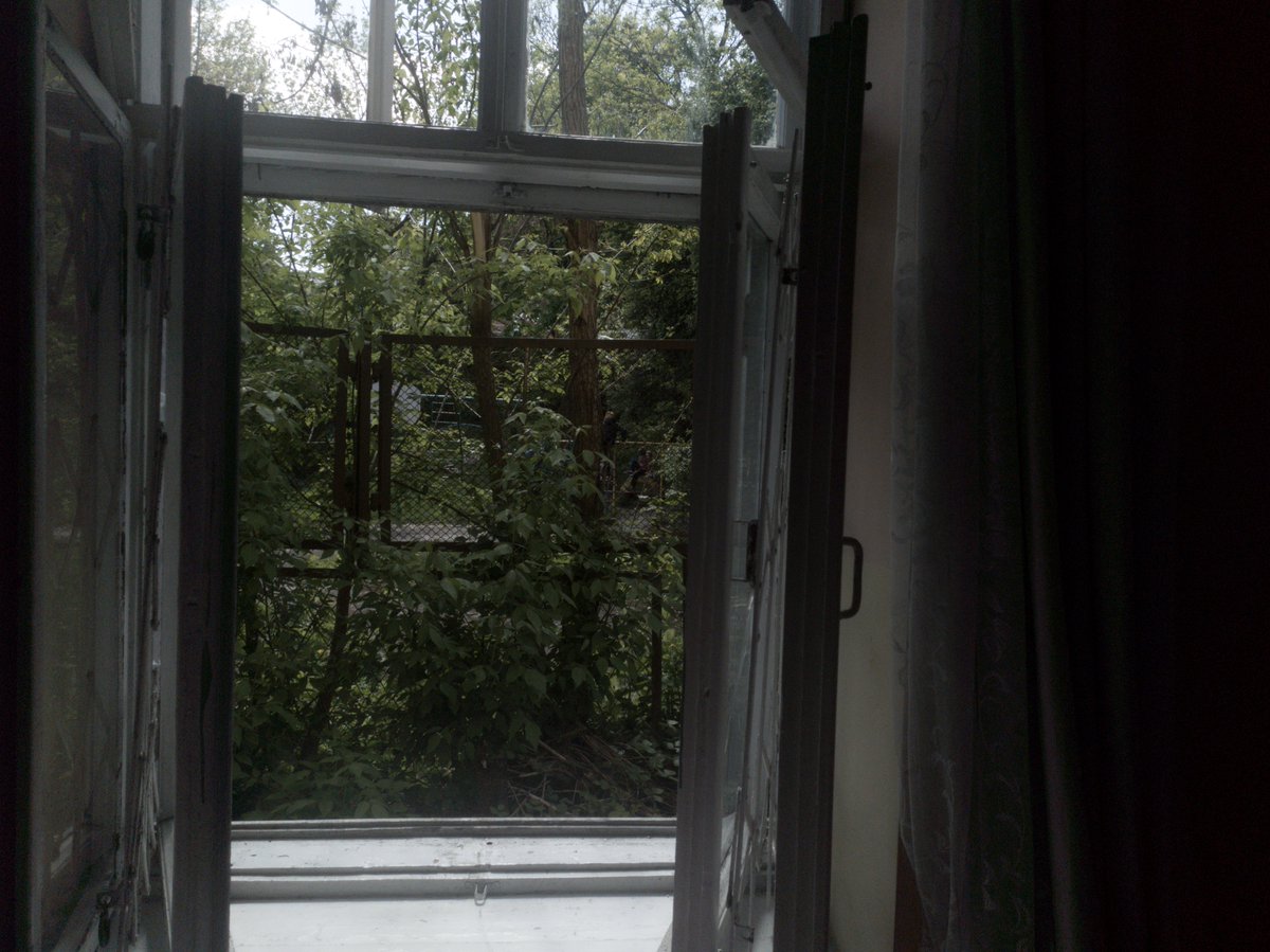 vedmed1ck's tweet photo. Життя таке, що хочеш робити фотографії біля віконечка, але приходить усвідомлення, що за парканом садочок і якраз зараз у дітей вигул https://t.co/wjJjGjn35Z