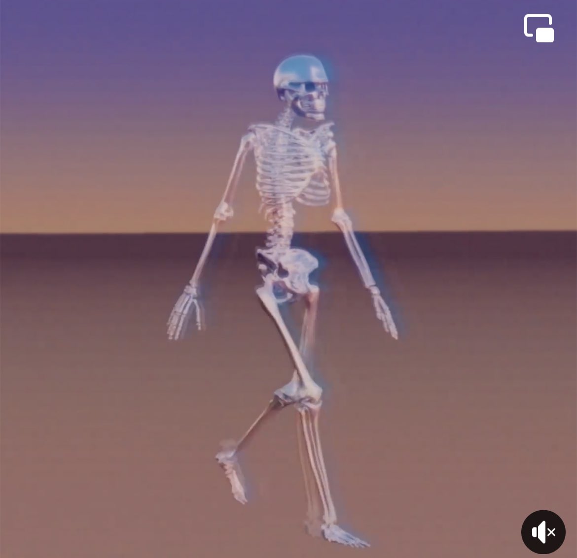 Black Marble Collective tweet media