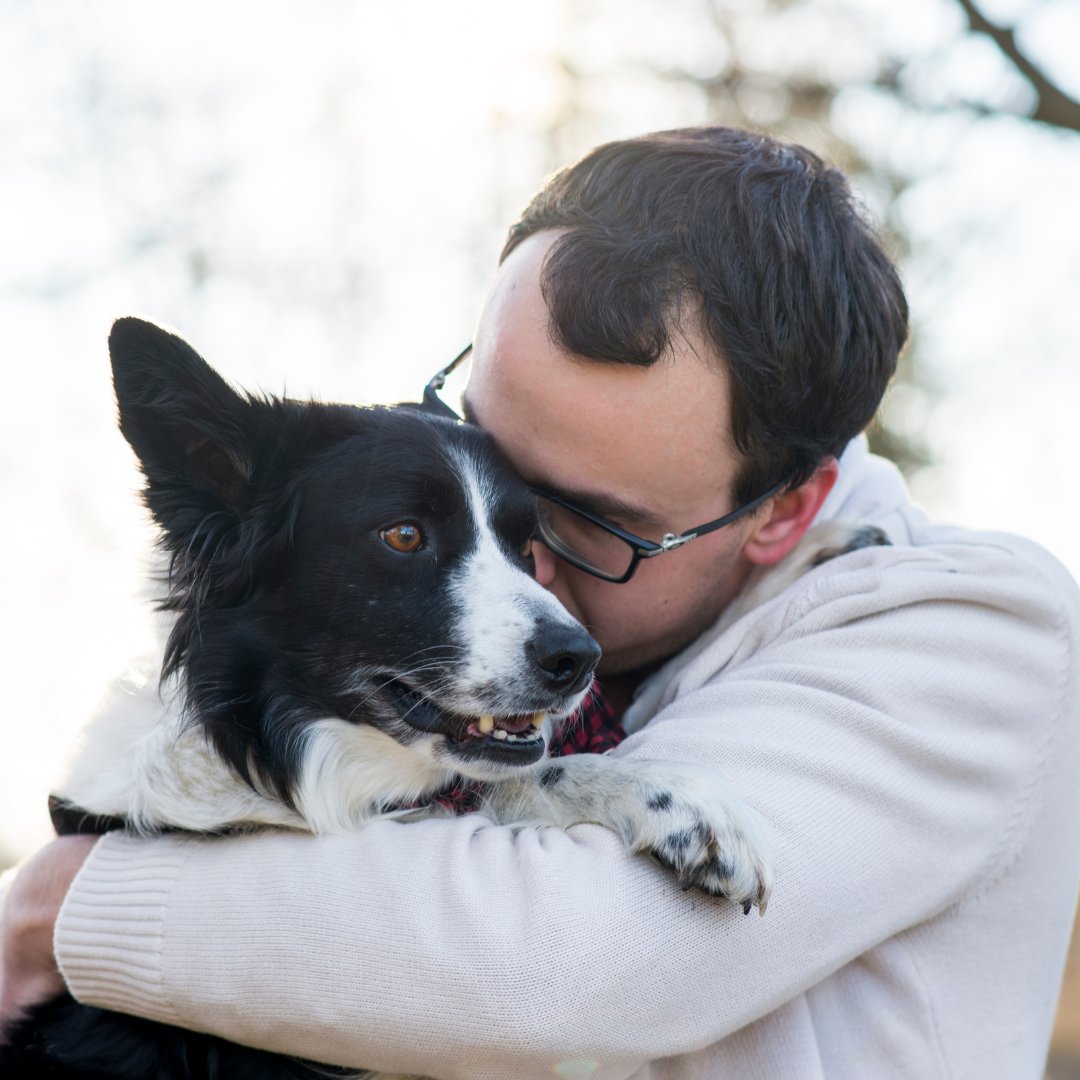 ColesFuneral's tweet photo. Keep your beloved pets with you even in the afterlife 🐾

@NaturalBurials now allow human and animal ashes to be buried together, ensuring that you and your furry friends remain companions forever 🫶 https://t.co/0dOUyF3Ebl