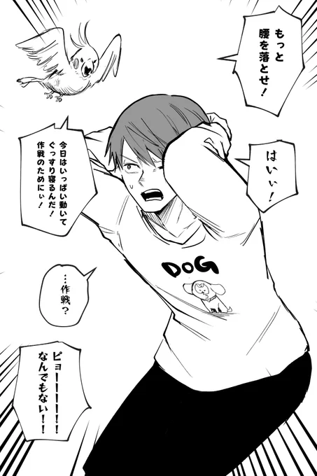 (8/8)