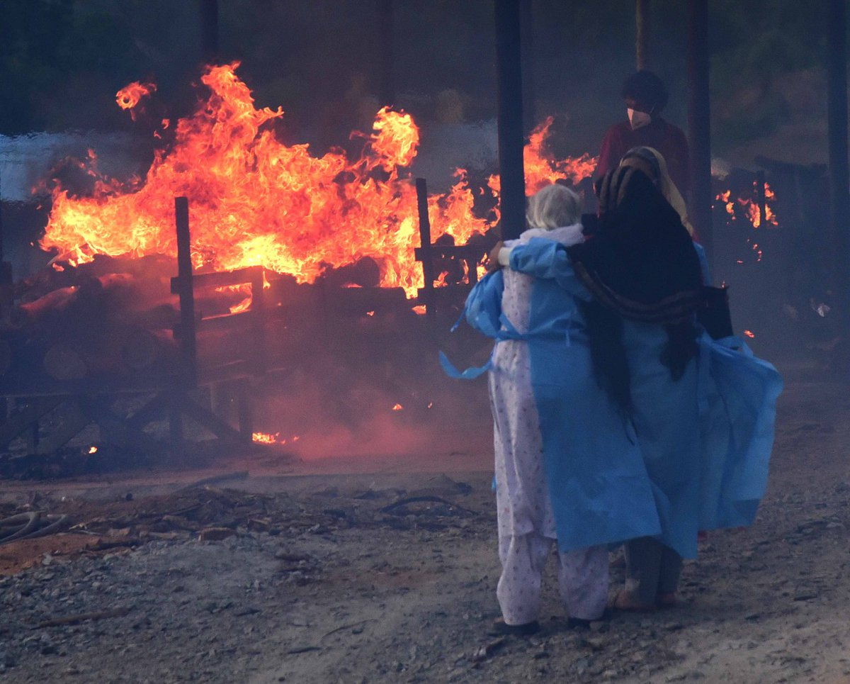 Petlee Peter tweet media