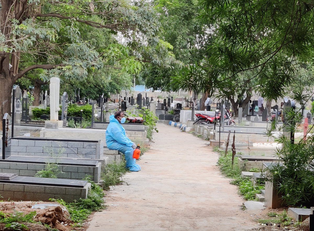 Petlee Peter tweet media