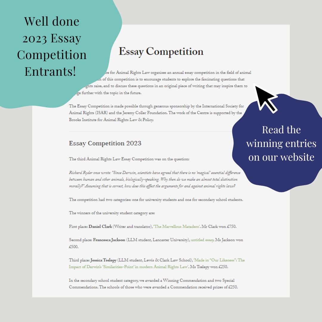 CCARL_charity's tweet image. Thank you to everyone who participated in our 2023 #EssayCompetition! We had some outstanding entries in both our university students and secondary school students categories this year 👏

And...(drumroll, please) 🥁

Here are our 2023 Essay Competition winners! 🏆 (1/3)