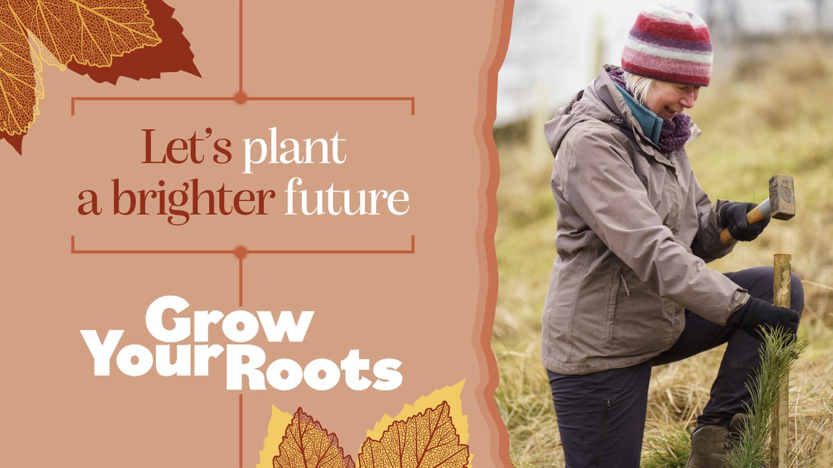 With funding available to cover up to 100% of costs to help you plant a wooded area on your land, this is your chance to create a brighter future for you, your family, wildlife and the climate. It’s your land, do something amazing with it.

growyourroots.org.uk
#GrowYourRoots