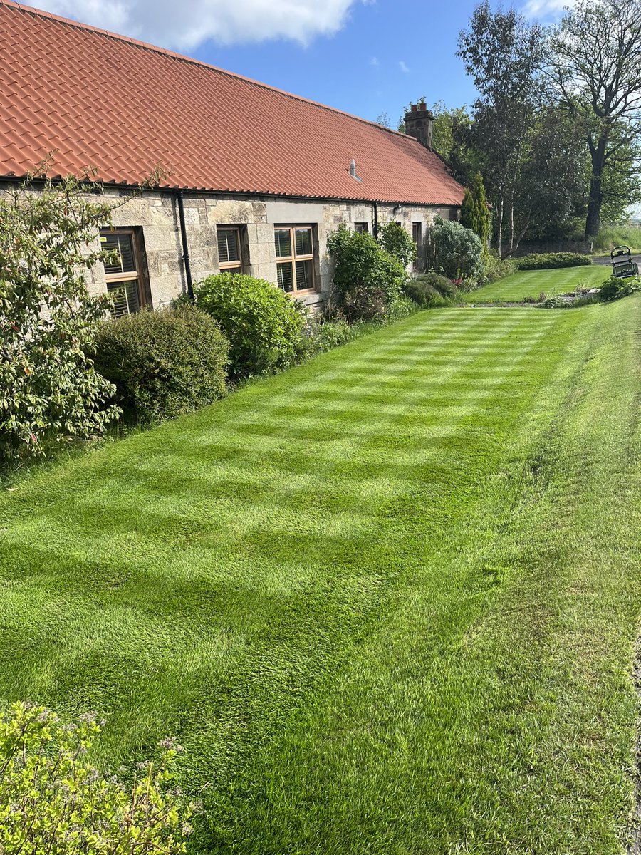 StevenP57077680's tweet photo. My entry for this weeks #patchoftheweek @mowermanjimmy https://t.co/3T5WggDHZZ