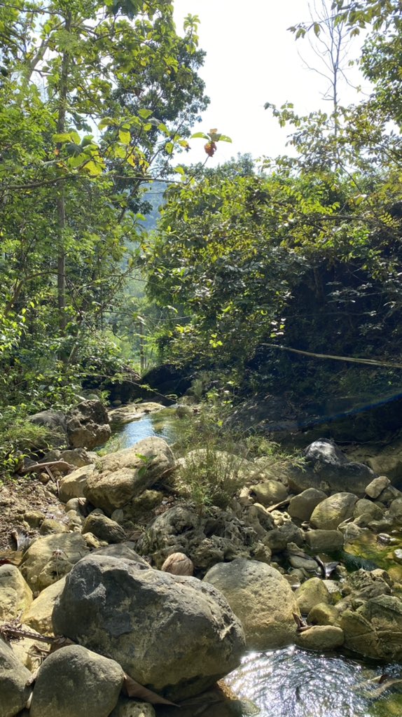 hayrunnise's tweet photo. Gowes Ciblon 🚿🏊🏽‍♂️ https://t.co/b10QK3KQAv
