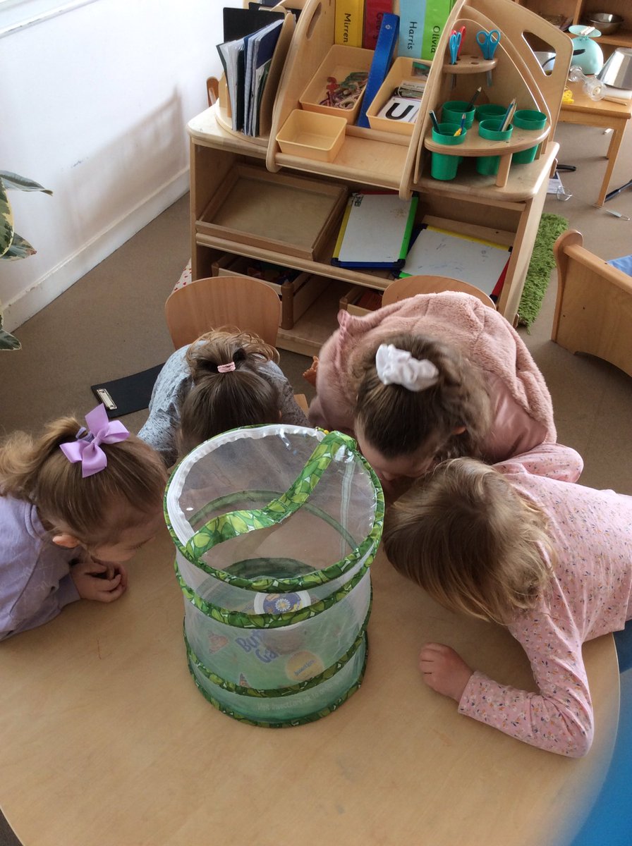 DeansNursery's tweet photo. We have exciting new guests in nursery🦋 
The children have been learning all about how to keep the caterpillars safe, nurtured and respected! https://t.co/sQuzYNgOuc