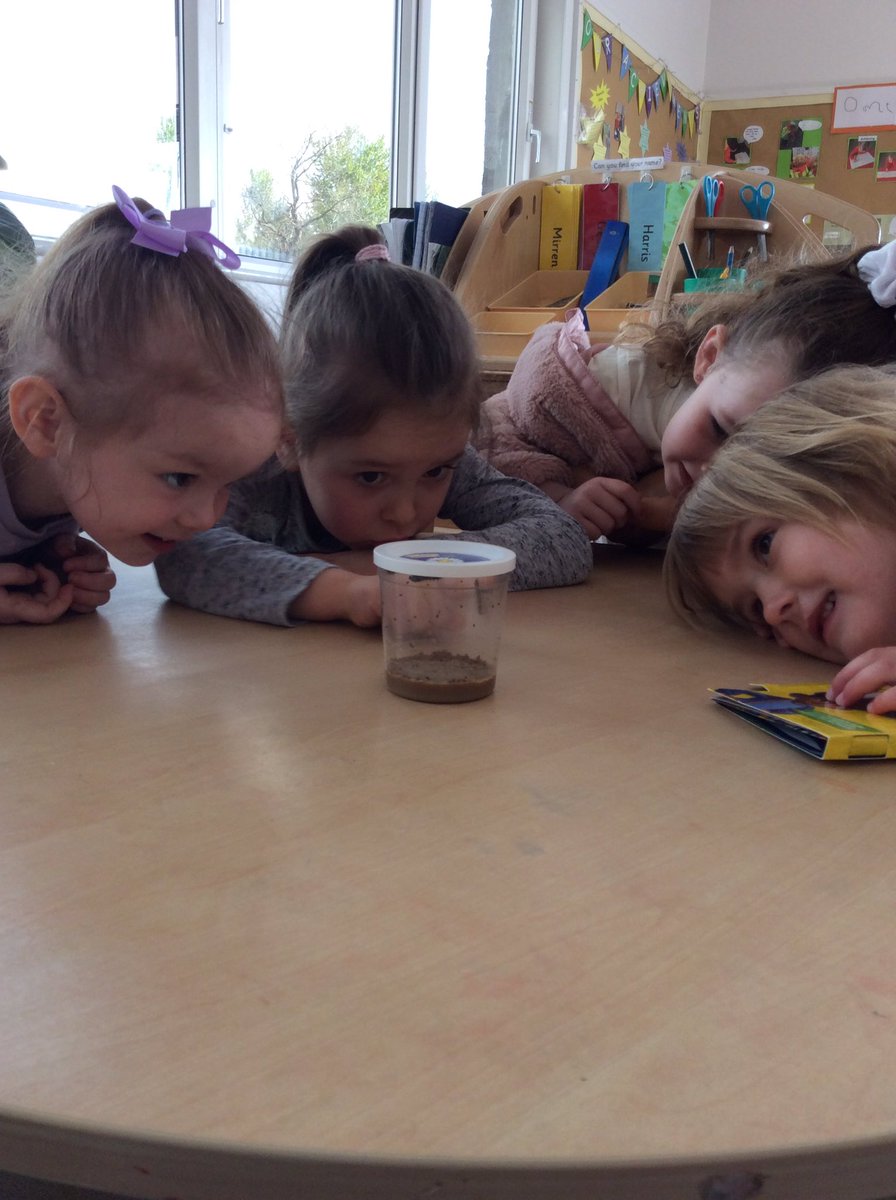 DeansNursery's tweet photo. We have exciting new guests in nursery🦋 
The children have been learning all about how to keep the caterpillars safe, nurtured and respected! https://t.co/sQuzYNgOuc