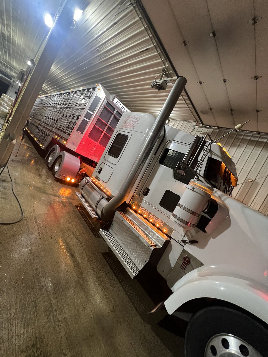 Bott_99's tweet photo. Big ballin livestock haulin 🫡 https://t.co/aM4BNLx72i