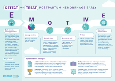 Pascale (@pascaleallotey) on Twitter photo The rare excitement👏of a landmark study that showed 60% ⬇️ in postpartum hemorrhage bit.ly/3HUb11D from colleagues <a href="/HRPresearch/">HRP</a> & <a href="/news_ub/">UniBirmingham News</a> <a href="/oladapo_olufemi/">Femi Oladapo</a> <a href="/IoannisGallos/">Ioannis Gallos</a> Jeff Smith <a href="/gatesfoundation/">Gates Foundation</a>
#ProudToBeWHO nejm.org/doi/full/10.10… The rare excitement👏of a landmark study that showed 60% ⬇️ in postpartum hemorrhage bit.ly/3HUb11D from colleagues <a href="/HRPresearch/">HRP</a> & <a href="/news_ub/">UniBirmingham News</a> <a href="/oladapo_olufemi/">Femi Oladapo</a> <a href="/IoannisGallos/">Ioannis Gallos</a> Jeff Smith <a href="/gatesfoundation/">Gates Foundation</a>
#ProudToBeWHO nejm.org/doi/full/10.10…