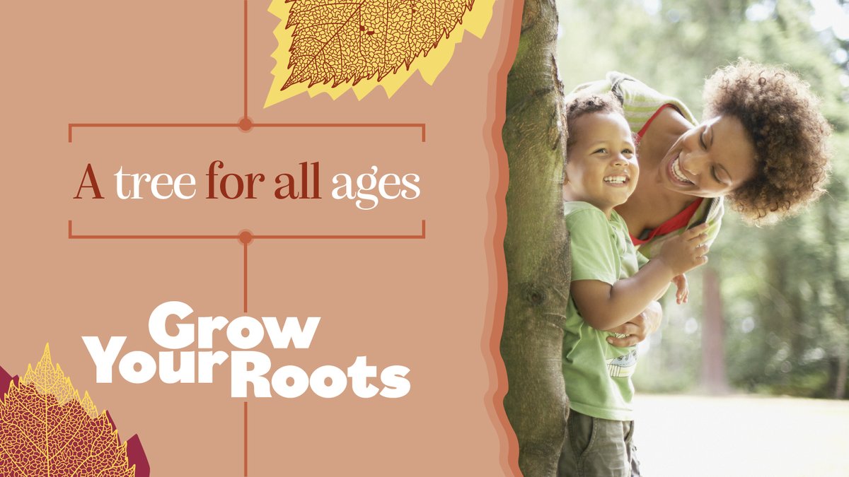 From a sapling to a fully grown tree, a wood will grow for generations to come. England’s Community Forests offer expert advice and competitive grant schemes for planting to help #GrowYourRoots. It’s your land, do something amazing with it.

growyourroots.org.uk
#GrowYourRoots