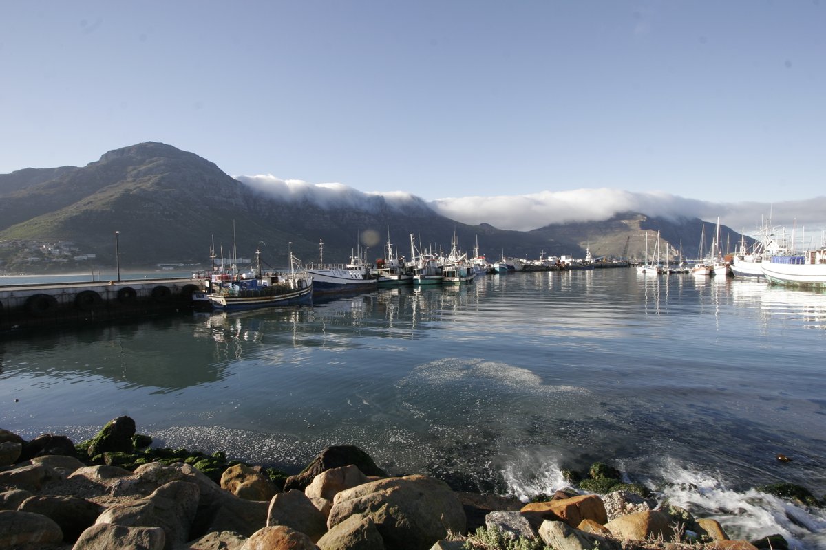 FishermansTC's tweet photo. 2006 run from Fish Hoek to Hout Bay.
Here a few photos. Check out the full 2006 photo album on our Facebook pg - https://t.co/5Oj2Kp8s8m
📷 Warren Johnson
#OFTC #OldFishermansTrailChallenge #TrailRunning #TripleChallenge https://t.co/wgXKmFnzNd