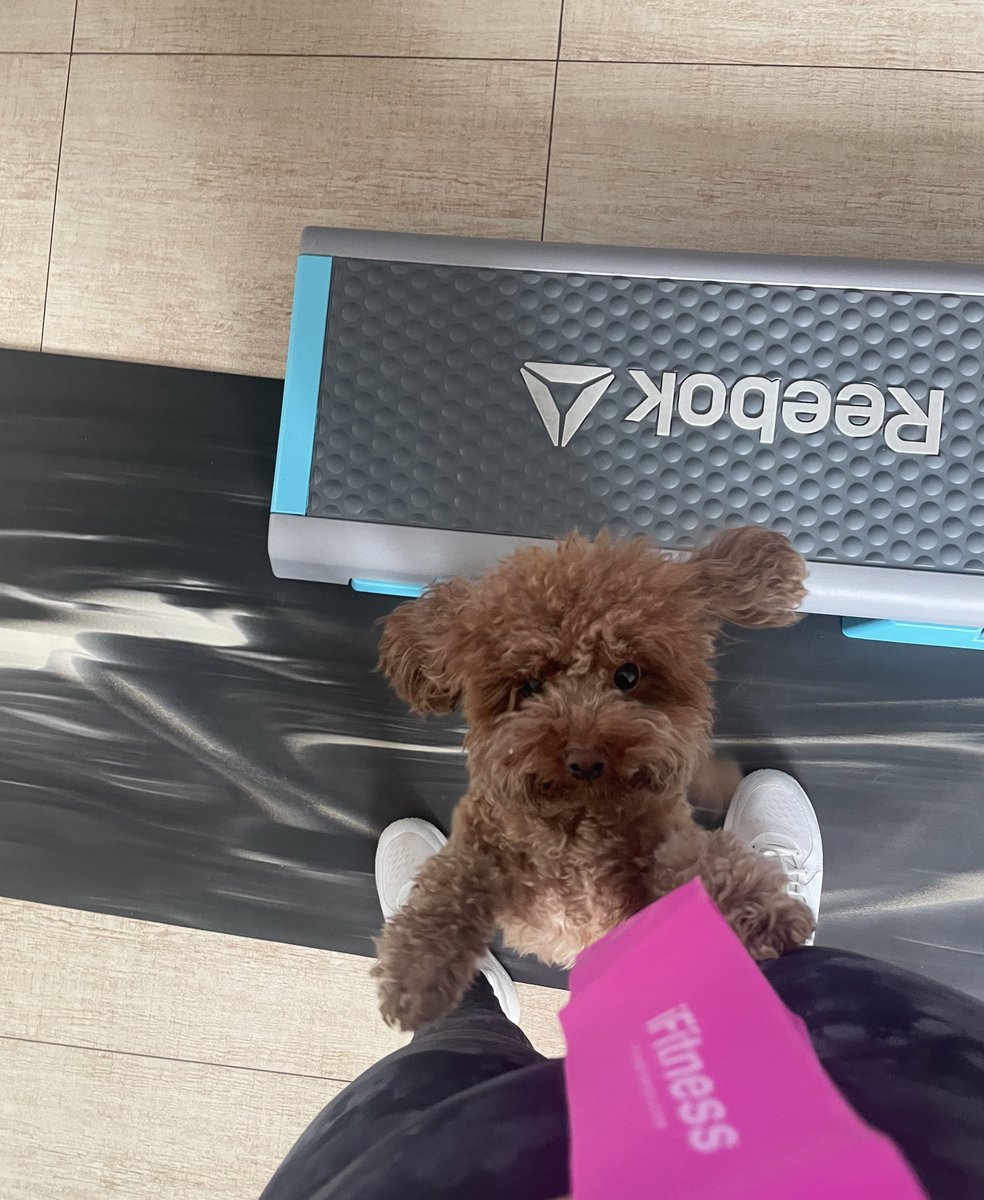 cupcaken86's tweet photo. Stay consistent to get results. Change doesn’t happen by itself, you make it happen. #ProofOfGym with my workout buddy 🥯 Let’s #GetStackt 💰 💪🏽 https://t.co/sspg9f62TL