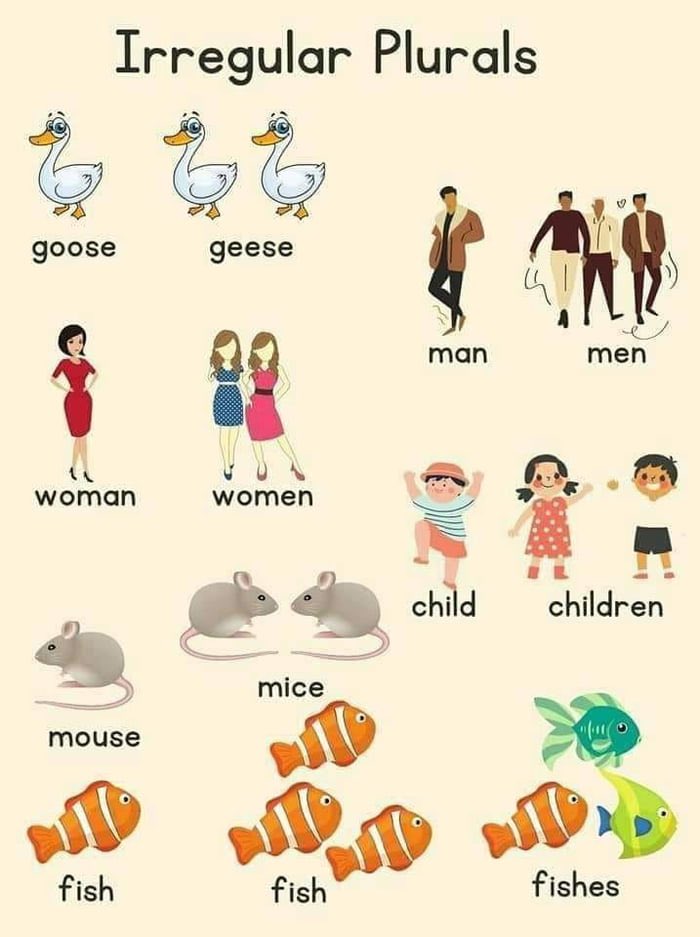 aashima_gupta84's tweet photo. Plural of Fish is #Fish, not #Fishes https://t.co/qj9di5dN2j
