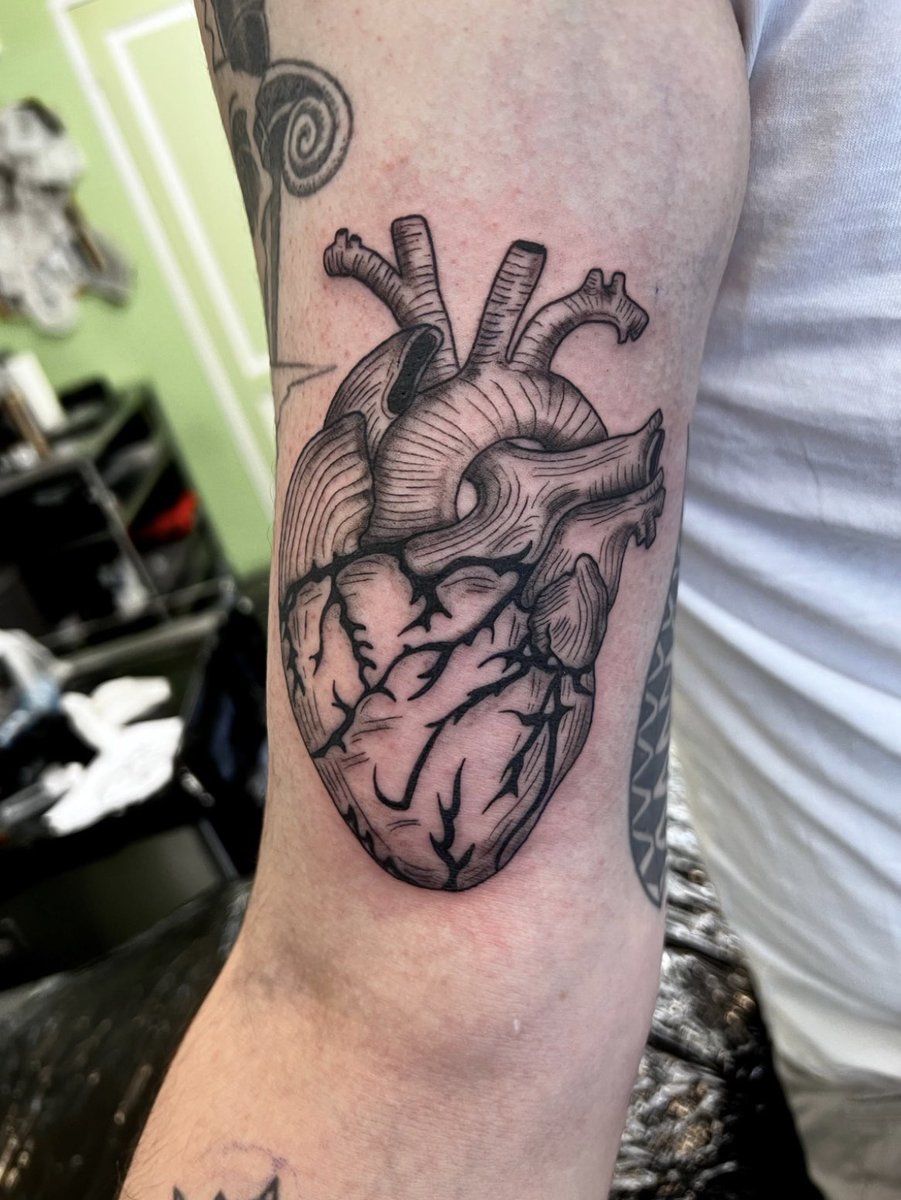 Anatomical Heart Tattoo 
#linetattoo #blackworktattoo #finelinetattooartist #amsterdamtattoo #claudiafedorovici #ascetictattoo #anatomical #anatomicalheart