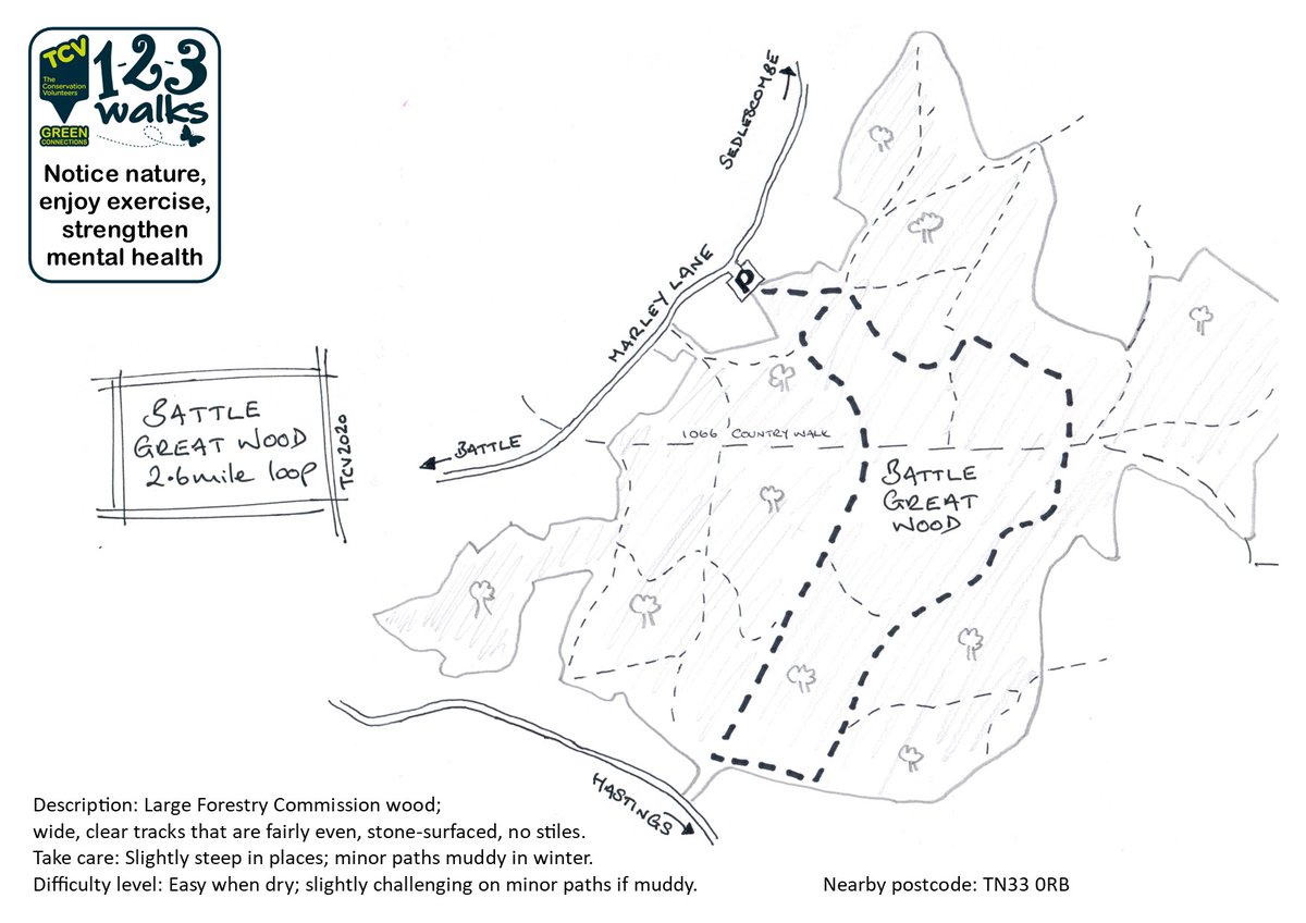Battle Great Wood wildflowers. Quite a dense/piney forest, wildflowers along paths in sunny patches. Main tracks manageable for mobility scooters/pushchairs.
See FB page for lots more pics.
