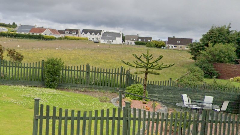 Stratherrick365's tweet photo. Leaving #Stornoway on the A859 for #Balallan and #Lacasaidh #monkeypuzzle #monkeypuzzletree #IsleofLewis https://t.co/WrXUg7iWSU