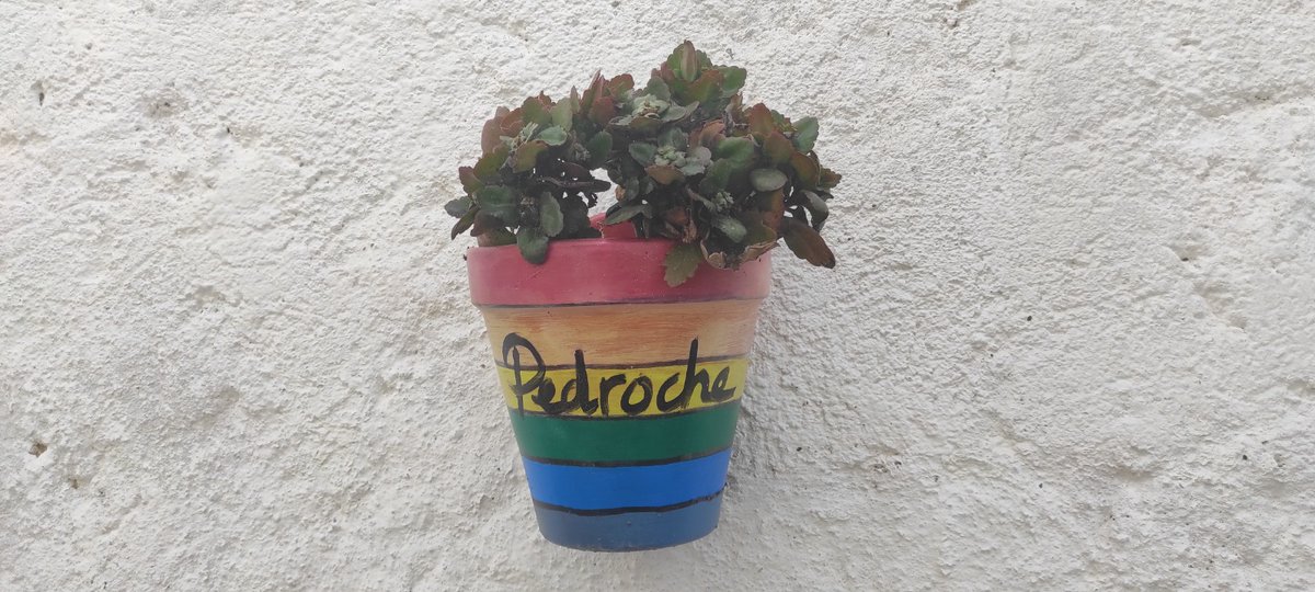 🔴 Impulsaremos políticas de Diversidad. Realizaremos campañas de sensibilización contra el acoso escolar, contra discriminaciones, de prevención de adicciones, de promoción de valores de igualdad, respeto y solidaridad.
#DefiendeLoQuePiensas 🌹/❤️