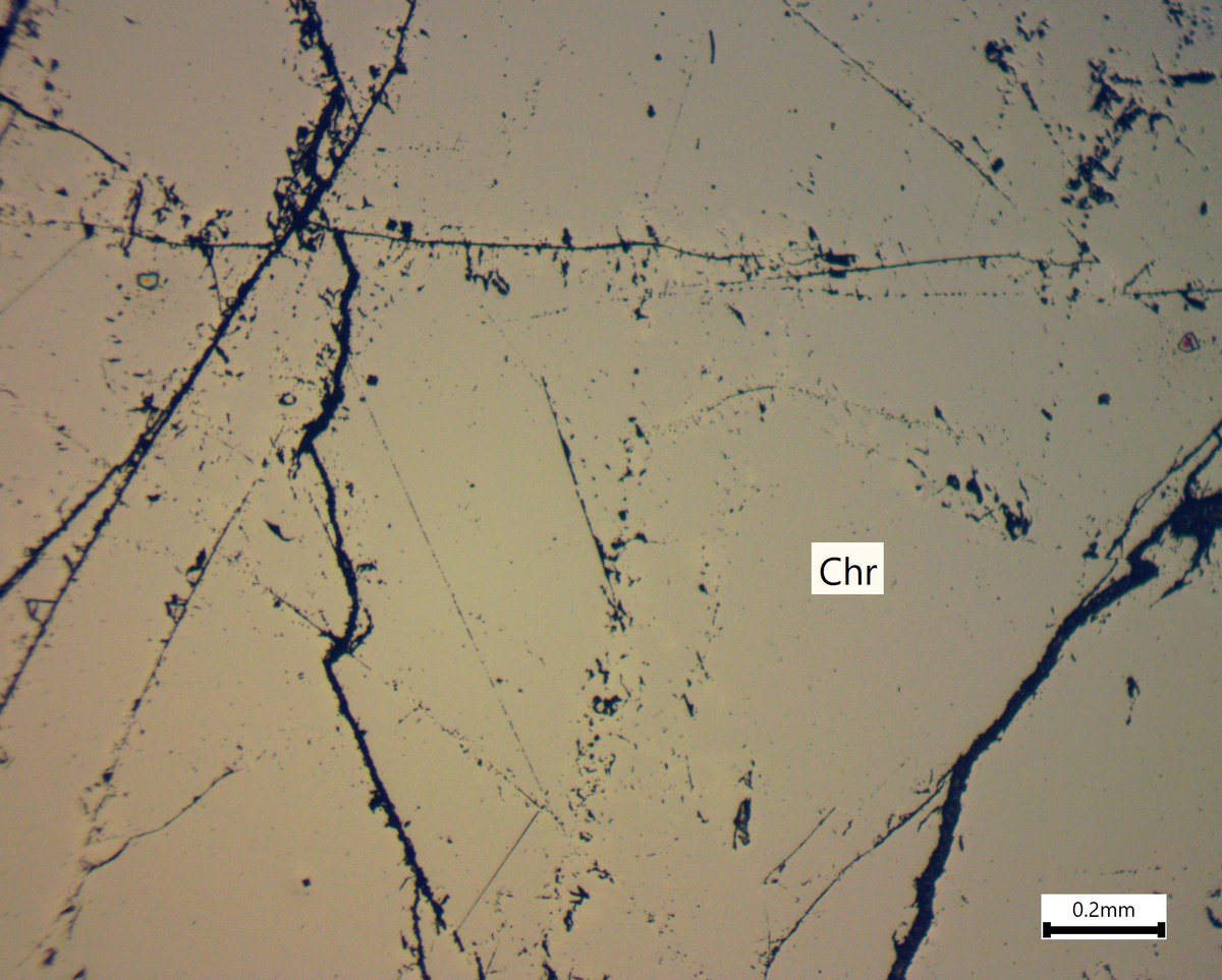 oregradepetro's tweet photo. Coarse-grained fractured chromite (Chr) from an unknown locality. Although not very impressive, it is important to add to the reflected light catalogue.

#science #geology #microscope #reflectedlightmicroscopy #geoscience #nature #chromite #chrome https://t.co/tS9zFGvyMi