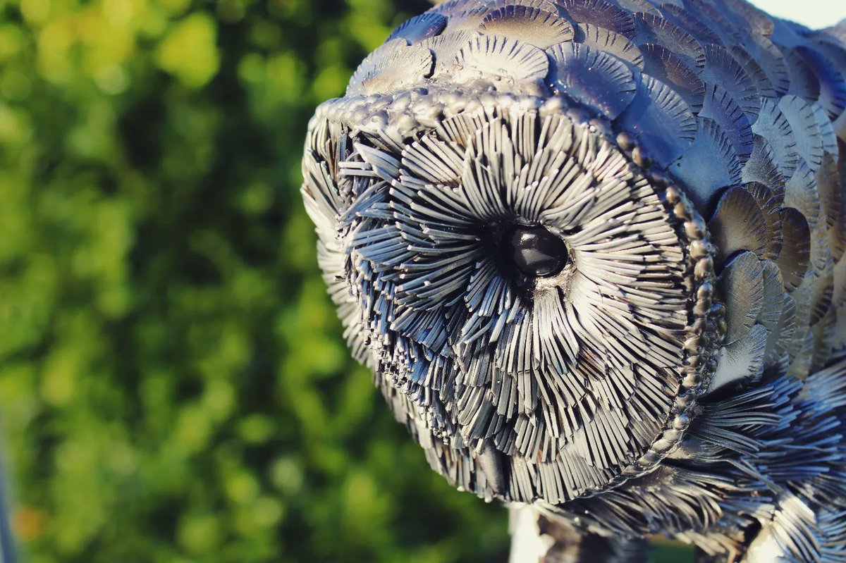 forgednature's tweet photo. 💀 Death From Above 💀 
Metal Barn Owl sculpture 
Available now! Forged.nature.irl@gmail.com https://t.co/zEAJOXoVjf