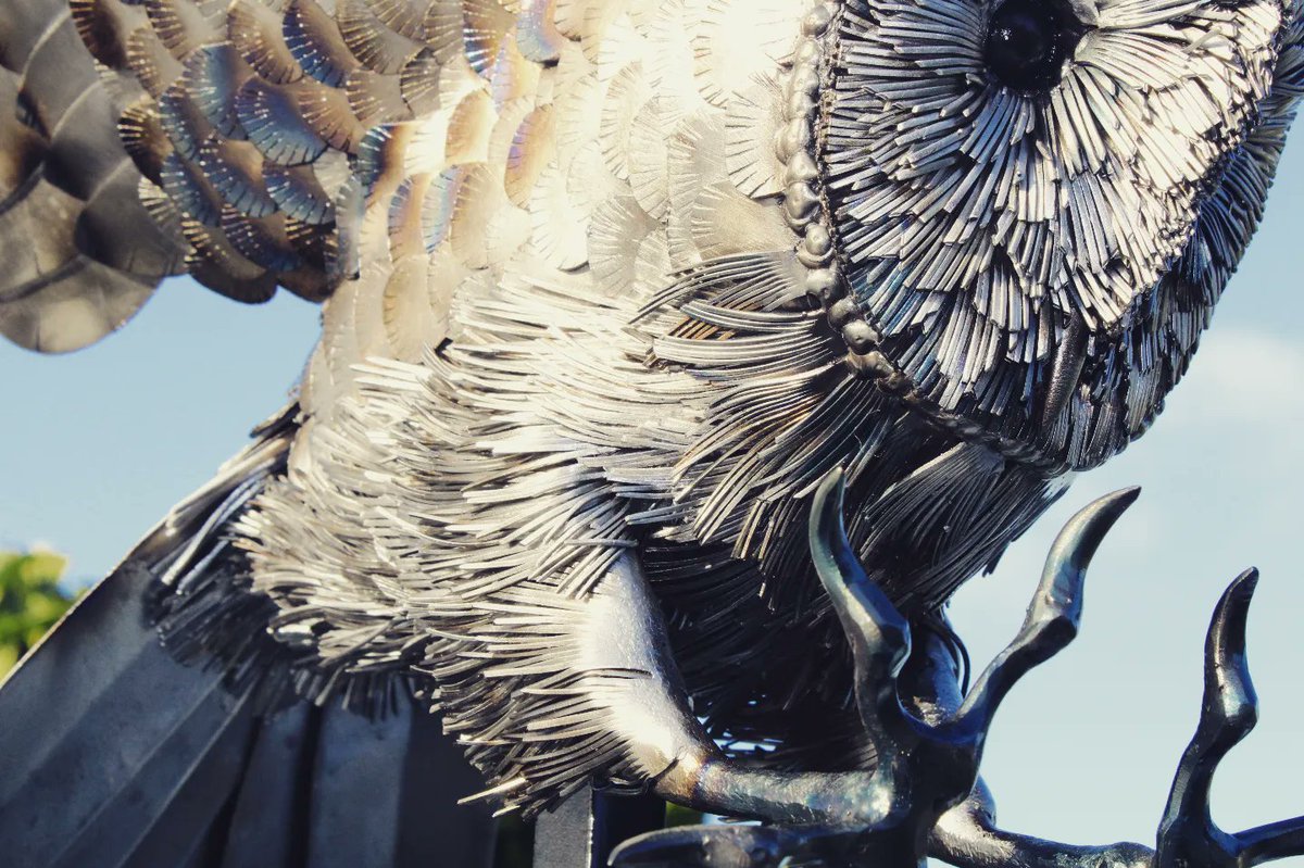 forgednature's tweet photo. 💀 Death From Above 💀 
Metal Barn Owl sculpture 
Available now! Forged.nature.irl@gmail.com https://t.co/zEAJOXoVjf
