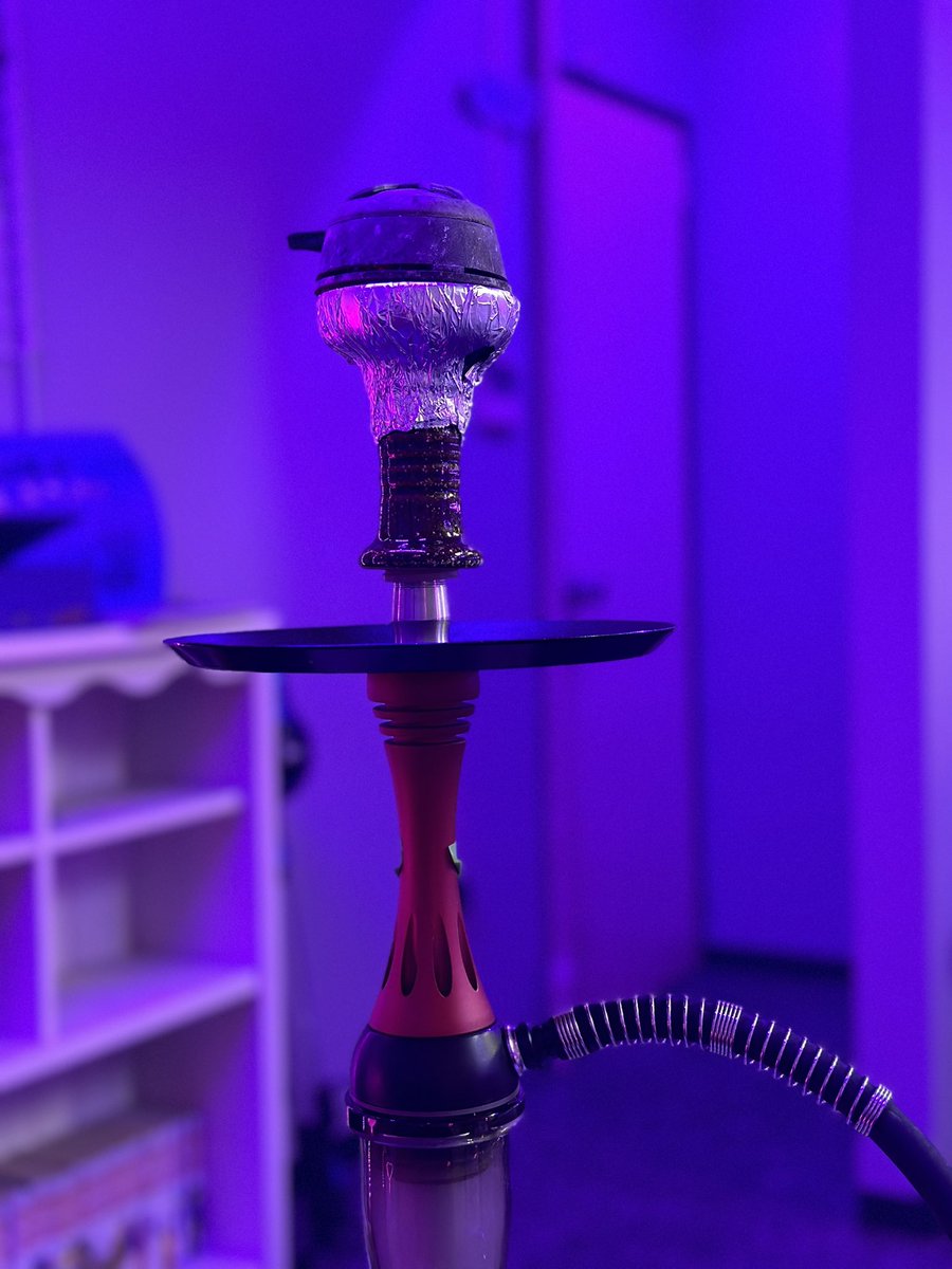 2022/12/11

トロピカル パラダイス
ミント