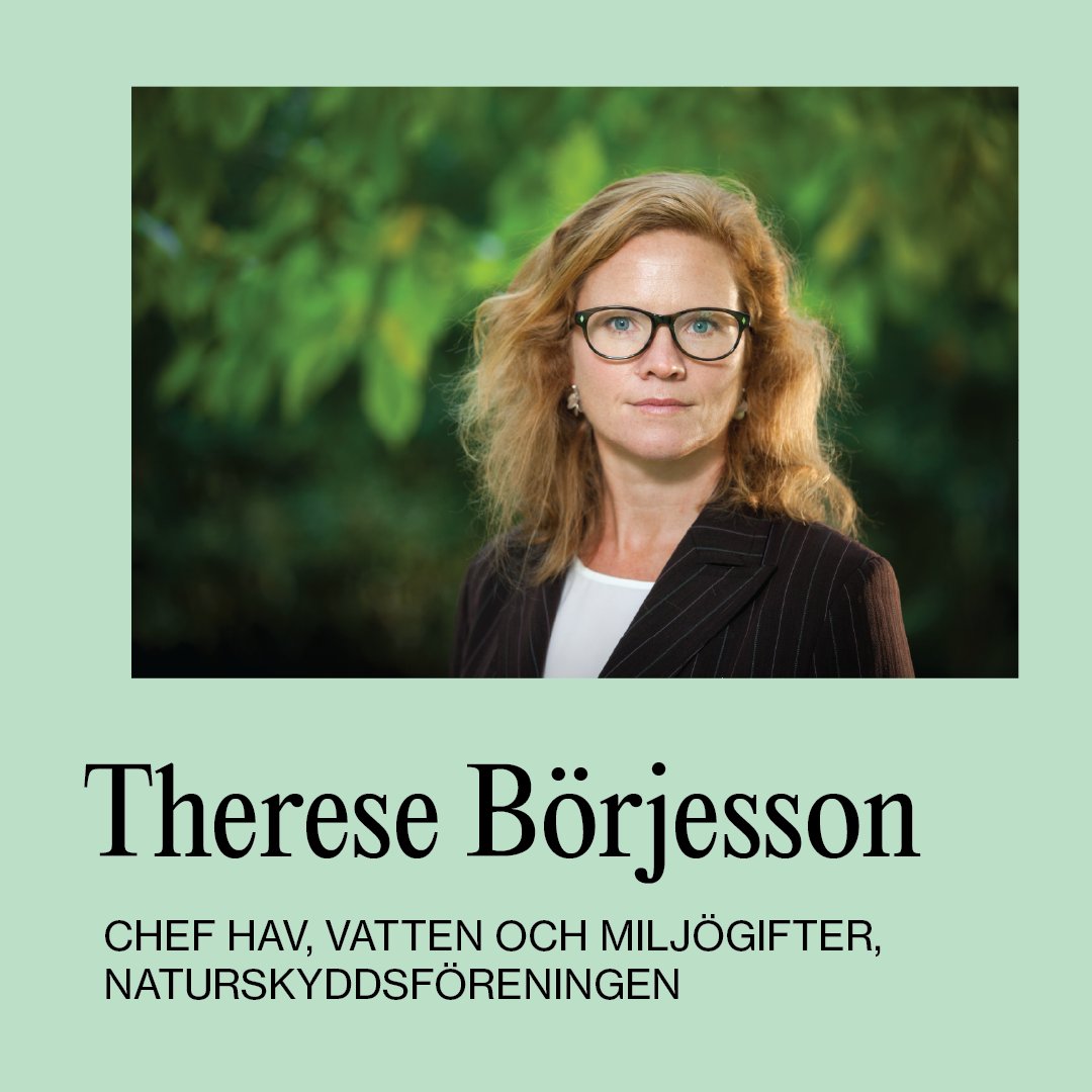 Right Livelihood tweet media