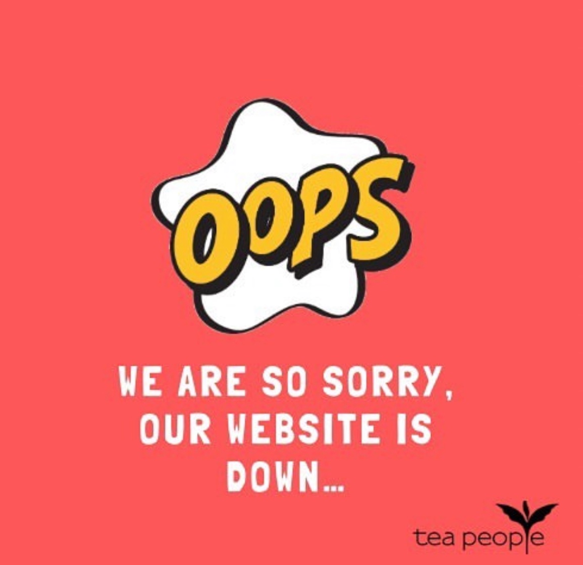 It looks like we are having some technical difficulties with our website this morning. Please be patient whilst we fix this issue. We will keep you updated ✨