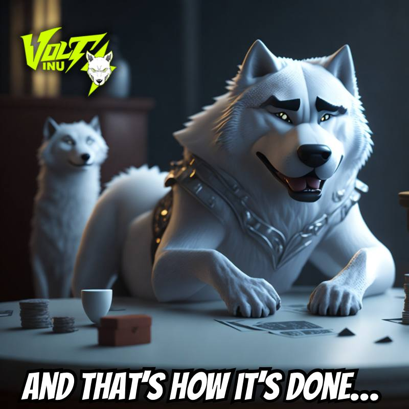 VoltInuOfficial's tweet photo. Drop it to zero to kill some zeros https://t.co/pbrKHUEG7J