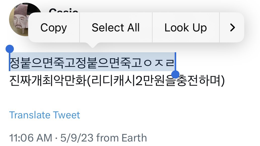 暳 tweet media