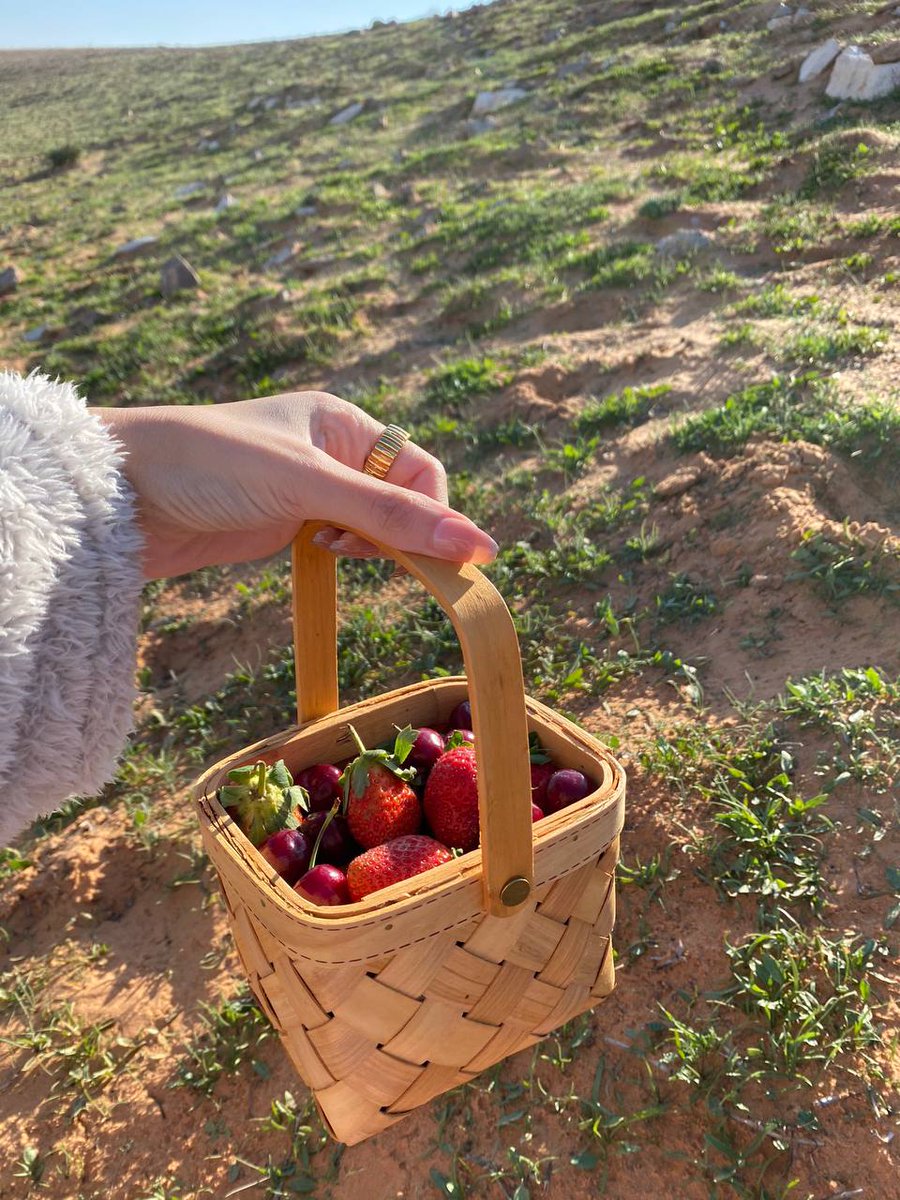 متنفس tweet media