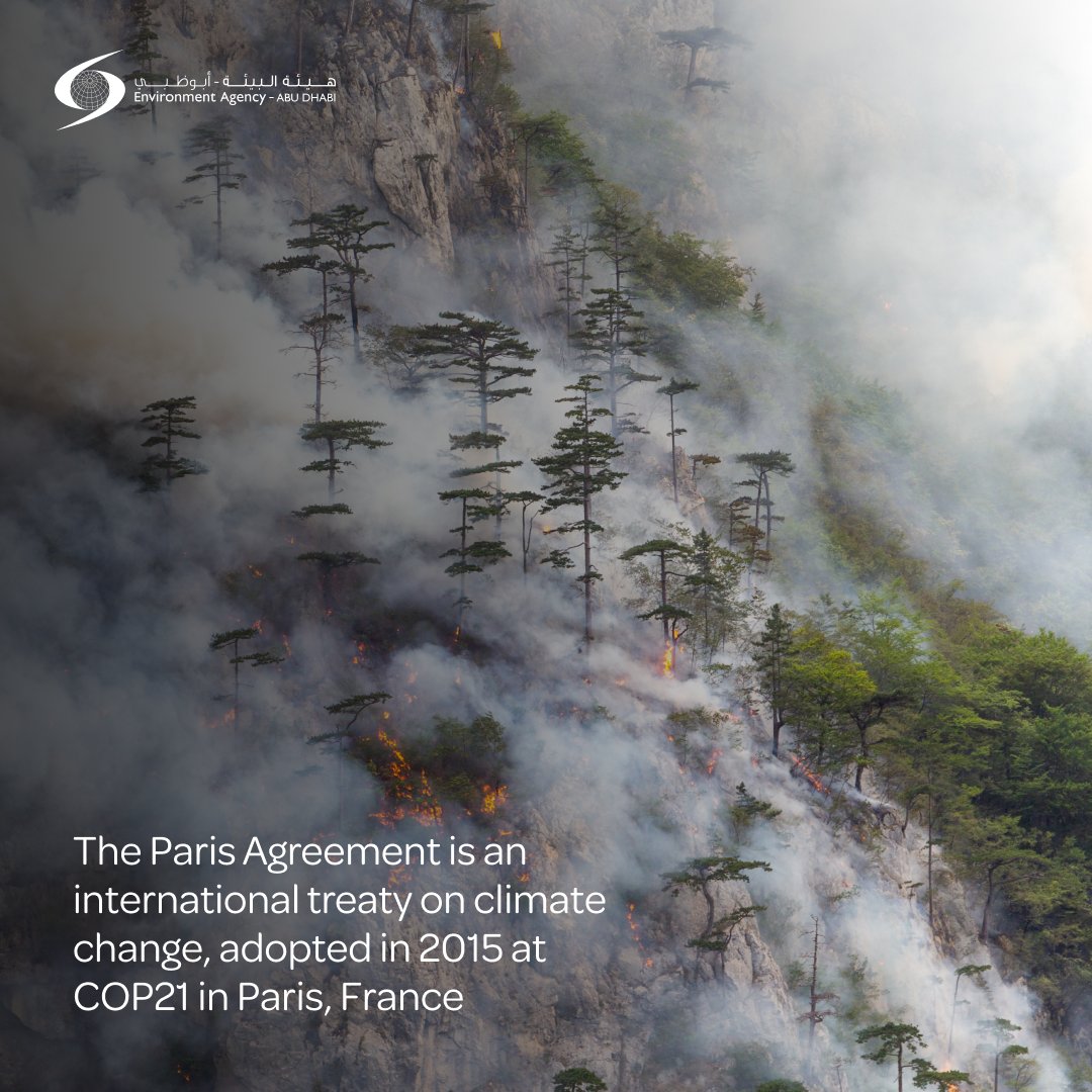 EADTweets's tweet photo. In recognition of the significant risks and impacts associated with the global rise in temperature, the Paris Agreement was formed in 2015 to encourage and amplify countries’ commitment to #climateaction.
#EnvironmentAbuDhabi #UnitedForClimate
@uaeclimateenvoy @COP28_UAE https://t.co/NSTbhA69YM