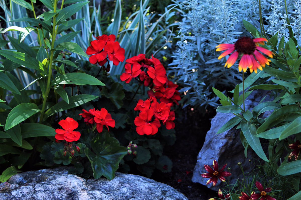 Happy Tuesday! Keep #reading&amp; #writing &amp; the flowers will surely bloom creativity for you! #5amwritersclub #WritingCommunity #writerscommunity #poetrycommunity #readingcommunity