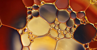 #ERAnet <a href="/ERA_CoBioTech/">ERA CoBioTech</a> <a href="/oleoferm/">Oleoferm ERA CoBioTech</a> WP4 is searching for optimal bioreactor conditions to produce and accumulate microbial oils during growth on short-chain fatty acids.
#Biotechnology