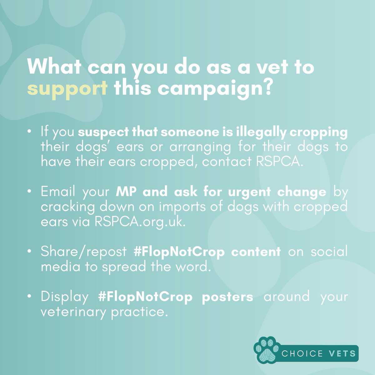 @RSPCA_official got 391 reports about cropped-ear dogs last year! 🐕

Dogs need their ears to hear and communicate and this horrible procedure is usually done using scissors or knives.

Swipe to see how you can help put a stop to this and spread the word about #FlopNotCrop 👉