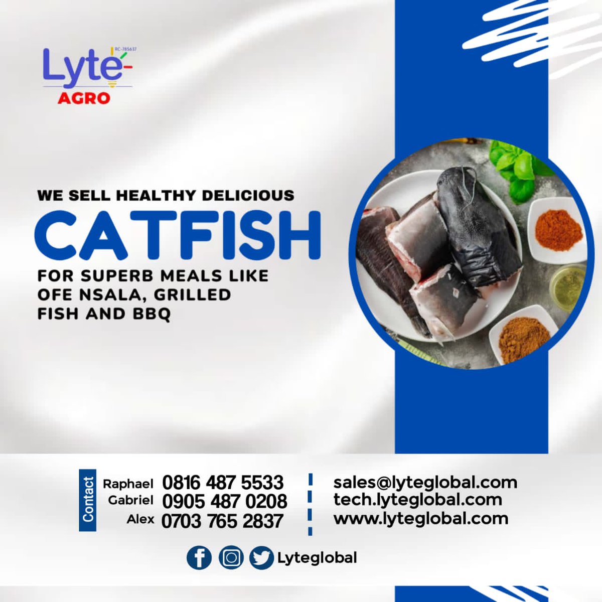 LyteGlobal's tweet photo. Ready to indulge in some scrumptious catfish dishes? Just buy some fresh catfish from us @LyteGlobal. Cook up a storm in the kitchen #catfish #foodie #yum" https://t.co/NUj5nEMC7o