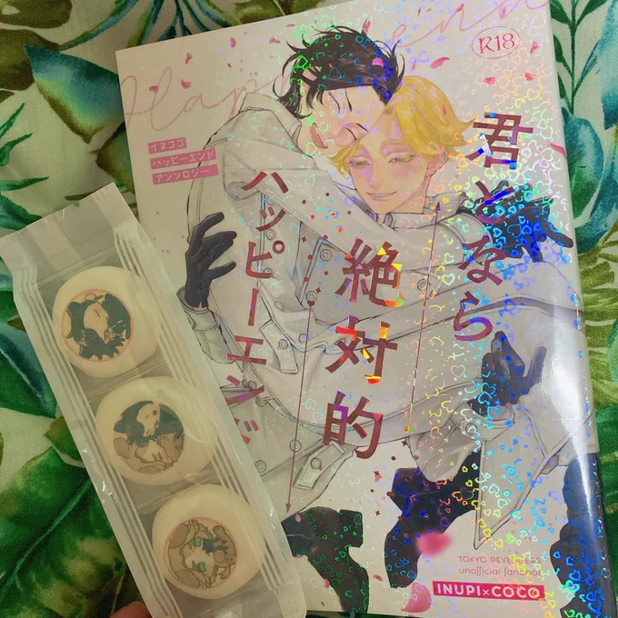 参加させていただいたいぬここアンソロ届いてました!!!ひえ可愛い〜😭マシュマロも可愛すぎて食べられないどうしよう😭あとでゆっくり読みます!!!素敵な御本ありがとうございます✨