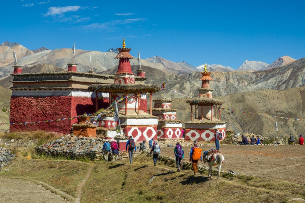 kamzang's tweet photo. Kamzang Journeys | Sacred Upper Dolpo to Mustang Camping Trek &amp; Awe-Inspiring Journeys! - https://t.co/DPakbkCqqX https://t.co/3DROr4XYZV