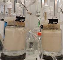 We reached over 40% bioconversion yield in converting household food wastes to volatile fatty acids – producing a promising substrate for further conversion into valuable microbial oils!
#ERAnet <a href="/ERA_CoBioTech/">ERA CoBioTech</a> <a href="/oleoferm/">Oleoferm ERA CoBioTech</a> #Biotechnology