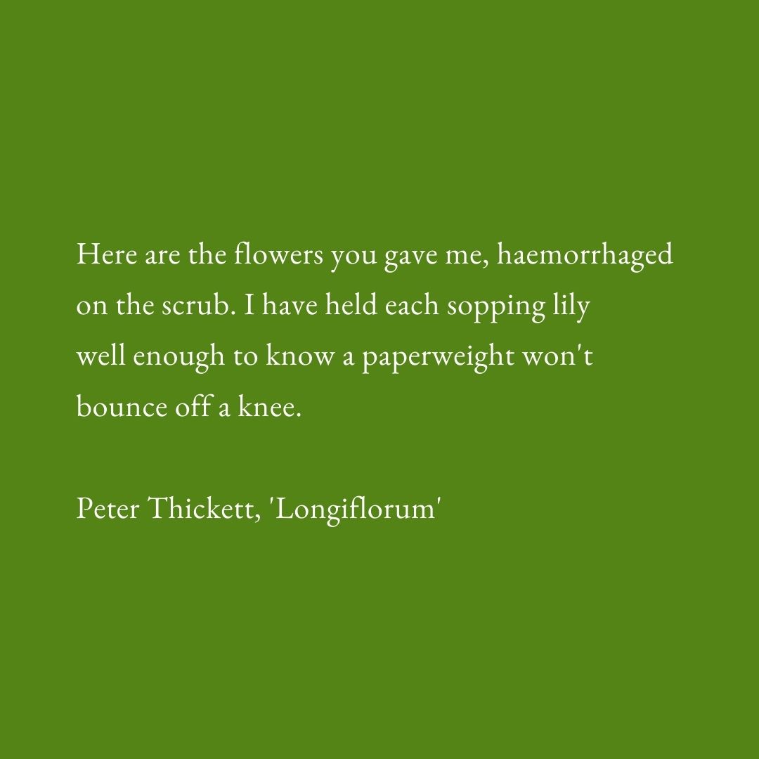 youngpoetsnet's tweet photo. Are you a writer aged 25 and younger, anywhere in the world?

There's just a few days left to submit to our current writing challenge!

It's free to submit - we just want to read your poems exploring the impact of nature on your wellbeing by 15 May

https://t.co/fAOizXMWVf https://t.co/GRPjWpDCNB