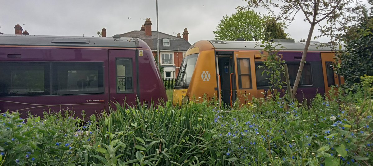 NotYOLOSmh's tweet image. Before I left Hereford yesterday I managed to see 172006 with 170505 again 

#Class170 #Class172 @WestMidRailway